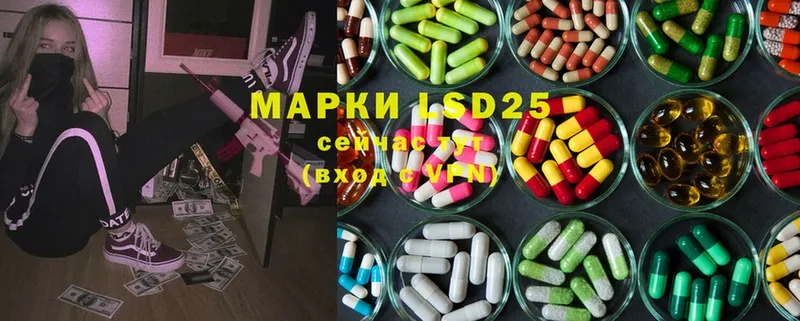 Лсд 25 экстази ecstasy  Майкоп 